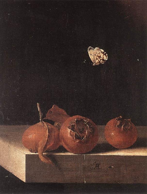 COORTE, Adriaen Three Medlars with a Butterfly df Germany oil painting art